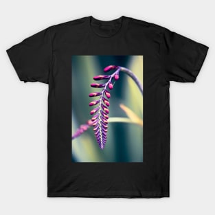 Crocosmia in Bud T-Shirt